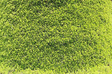 世嘉东京街机厅更名 五十年王牌业务终于落下帷幕